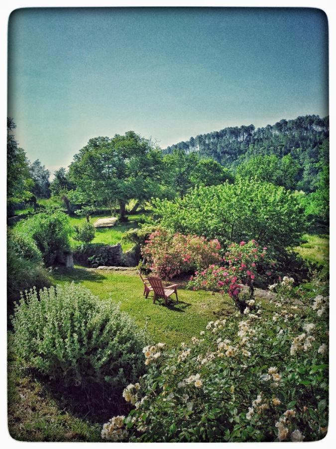 Oracines Du Calme Maison Helianthy Sanilhac  Bagian luar foto